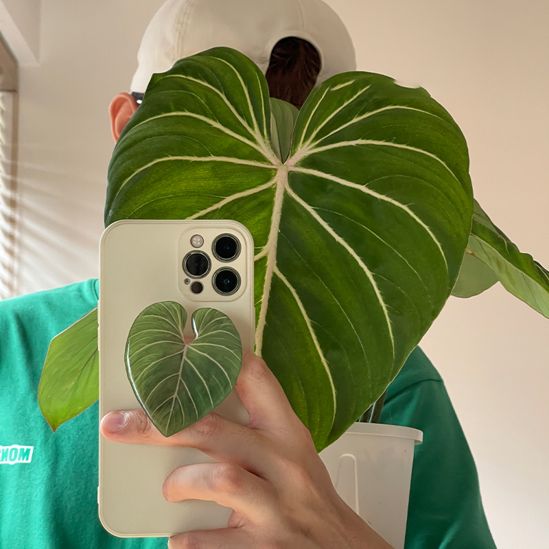 Cute Glossy Popular Simulation - đánh giá và giá Tech Accessories Phone