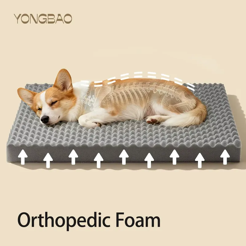 Factory Wholesale Luxury Cute  - đánh giá và giá Tech Accessories Wholesale