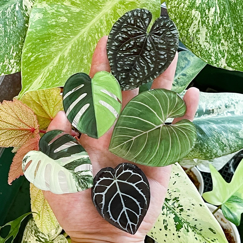 Glossy Simulation Leaf Phone H - đánh giá và giá Tech Accessories Phone