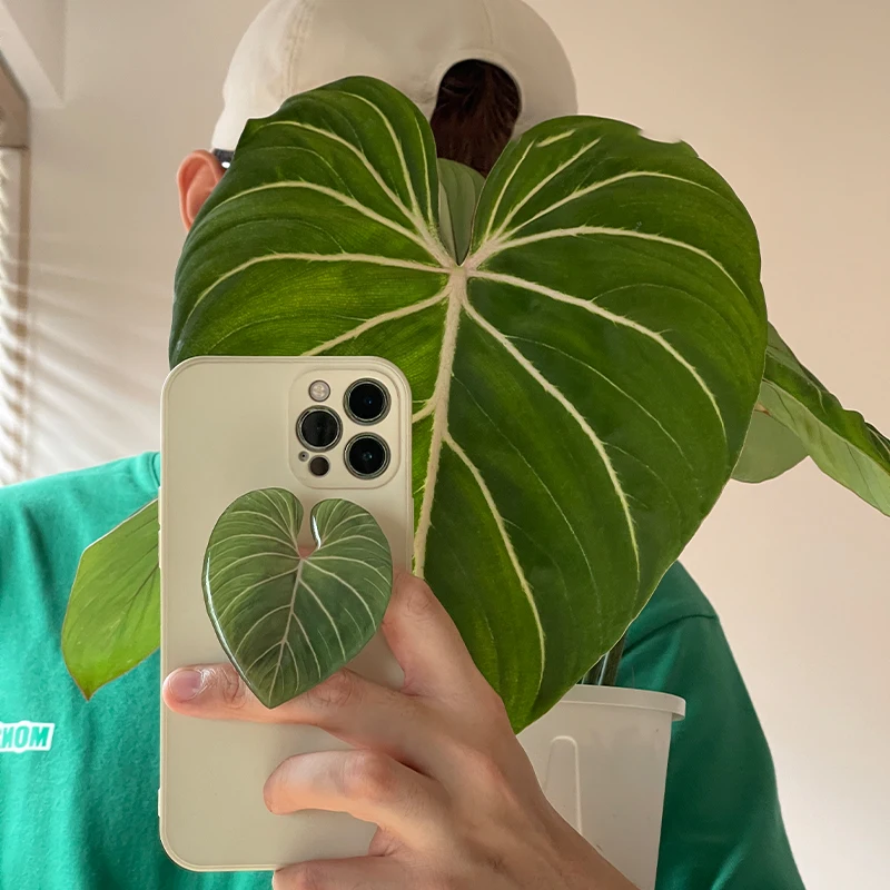 Glossy Simulation Leaf Phone H - đánh giá và giá Tech Accessories Phone